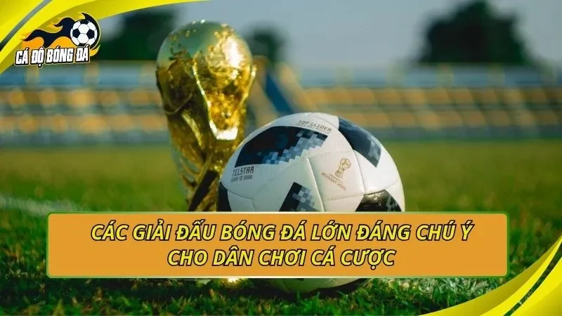 Các giải đấu bóng đá lớn đáng chú ý cho dân chơi cá cược