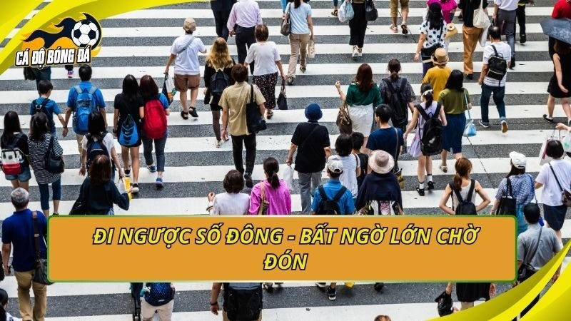 Đi ngược số đông - Bất ngờ lớn chờ đón