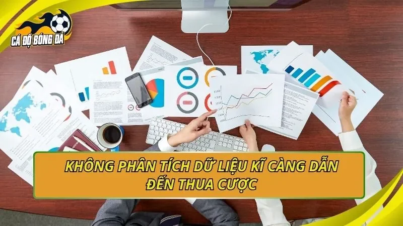 Không phân tích dữ liệu kĩ càng dẫn đến thua cược
