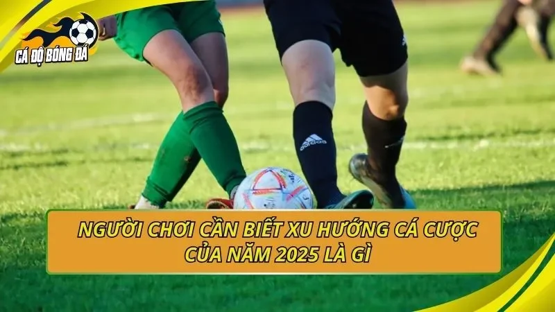 Người chơi cần biết xu hướng cá cược của năm 2025 là gì