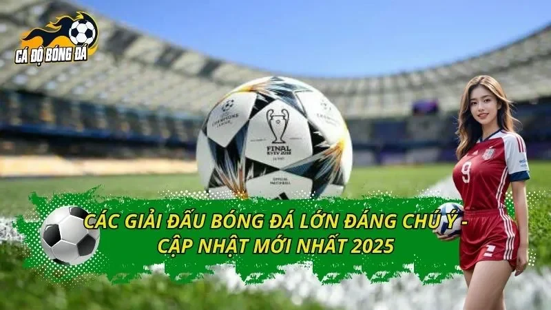 Các Giải Đấu Bóng Đá Lớn Đáng Chú Ý - Cập Nhật Mới Nhất 2025