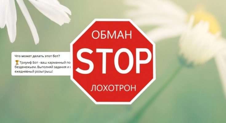 триумф бонус бот регистрация. %C2%AC%C2%ACtriumf bonus bot. триумф бонус бот регистрация фото. триумф бонус бот регистрация-%C2%AC%C2%ACtriumf bonus bot. картинка триумф бонус бот регистрация. картинка %C2%AC%C2%ACtriumf bonus bot. ­Триумф Бонус Бот – это якобы единственный бот в Телеграме, который платит. Вот только на самом деле ничего подобного. Перед нами – очень распространенная мошенническая схема, суть которой сводится к тому, что некие персонажи, которые, естественно, себя тщательно скрывают, скупают всяких разных ботов, после чего предлагают нам на них зарабатывать. Заработок тут осуществляется на выполнение различных заданий, как правило, подписки на каналы, просмотр чего-либо, и так далее.
