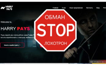 Harry Pays - Обзор