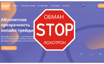 DMF Partners - Обзор