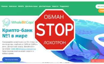 WhaleBitCapital - Обзор