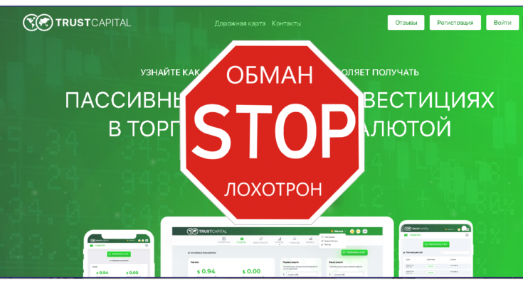 Trust Capital - Обзор