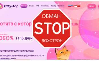 Kitty Top - Обзор