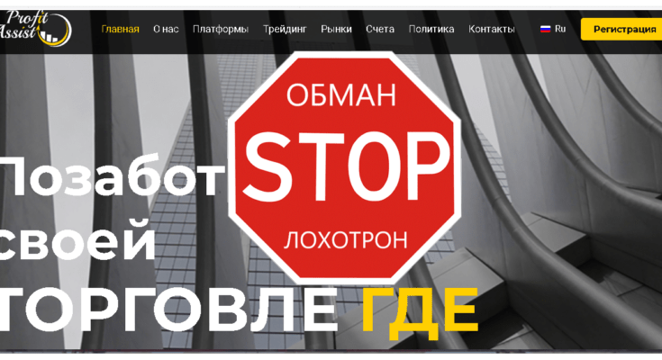 ProfitAssist - Обзор