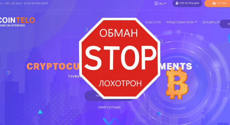 Cointelo - Обзор