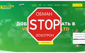 Vector Invest - Обзор