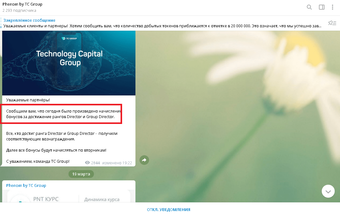 TCGroup - Отзывы