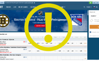 Zenit - Обзор