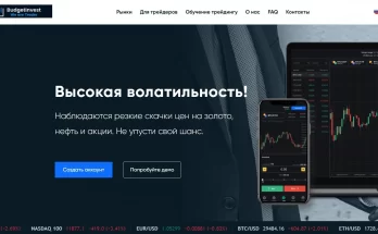 Budget Invest отзывы о компании
