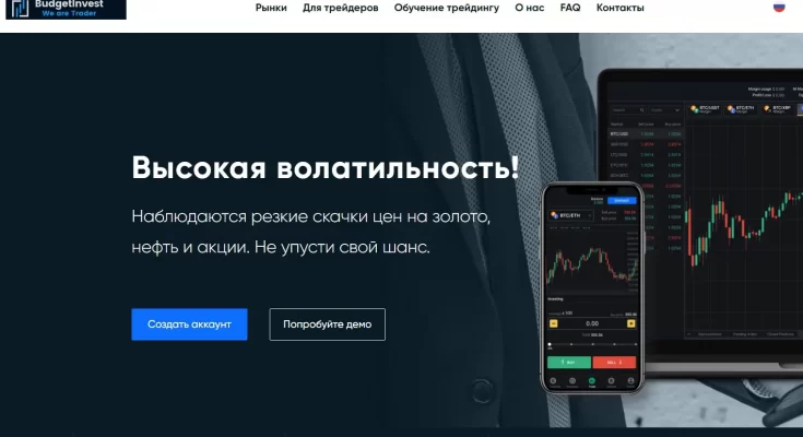 Budget Invest отзывы о компании