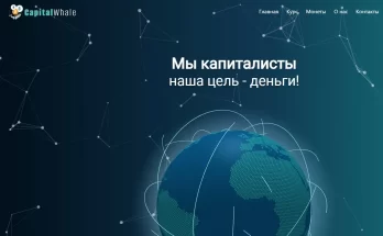 Capital Whale отзывы сотрудников
