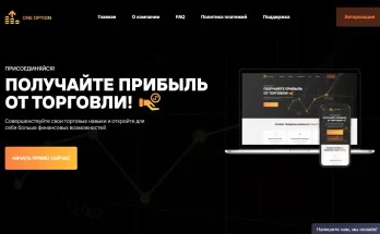One Option платит ли в 2022 или нет