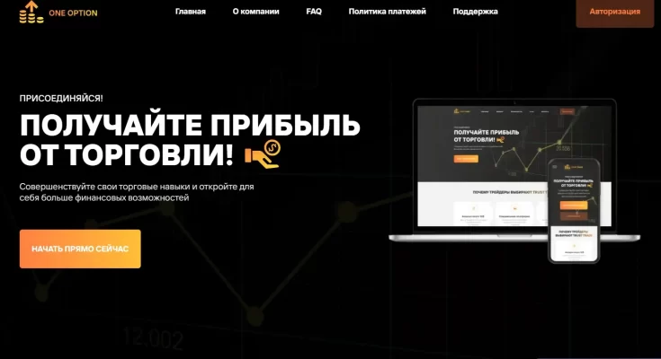 One Option платит ли в 2022 или нет