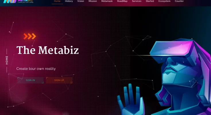 Обзор инвестиционной компании The Metabiz