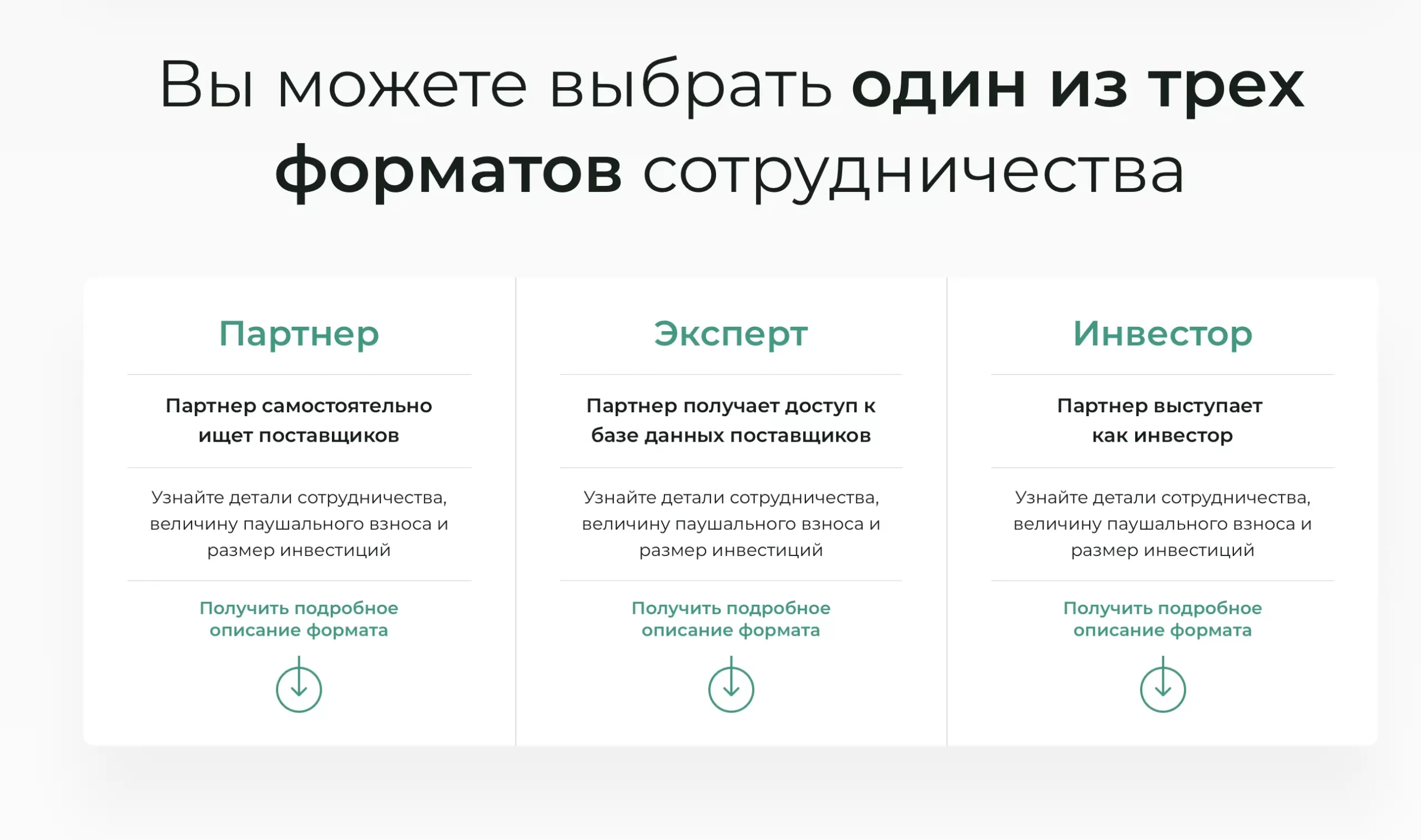 franchise-partner ru